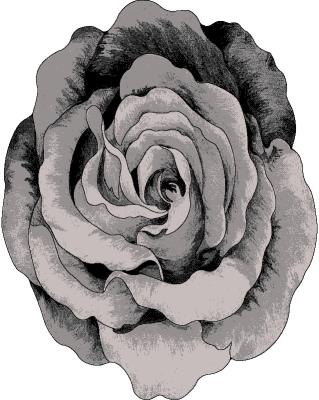 FLOWERS Design 304
