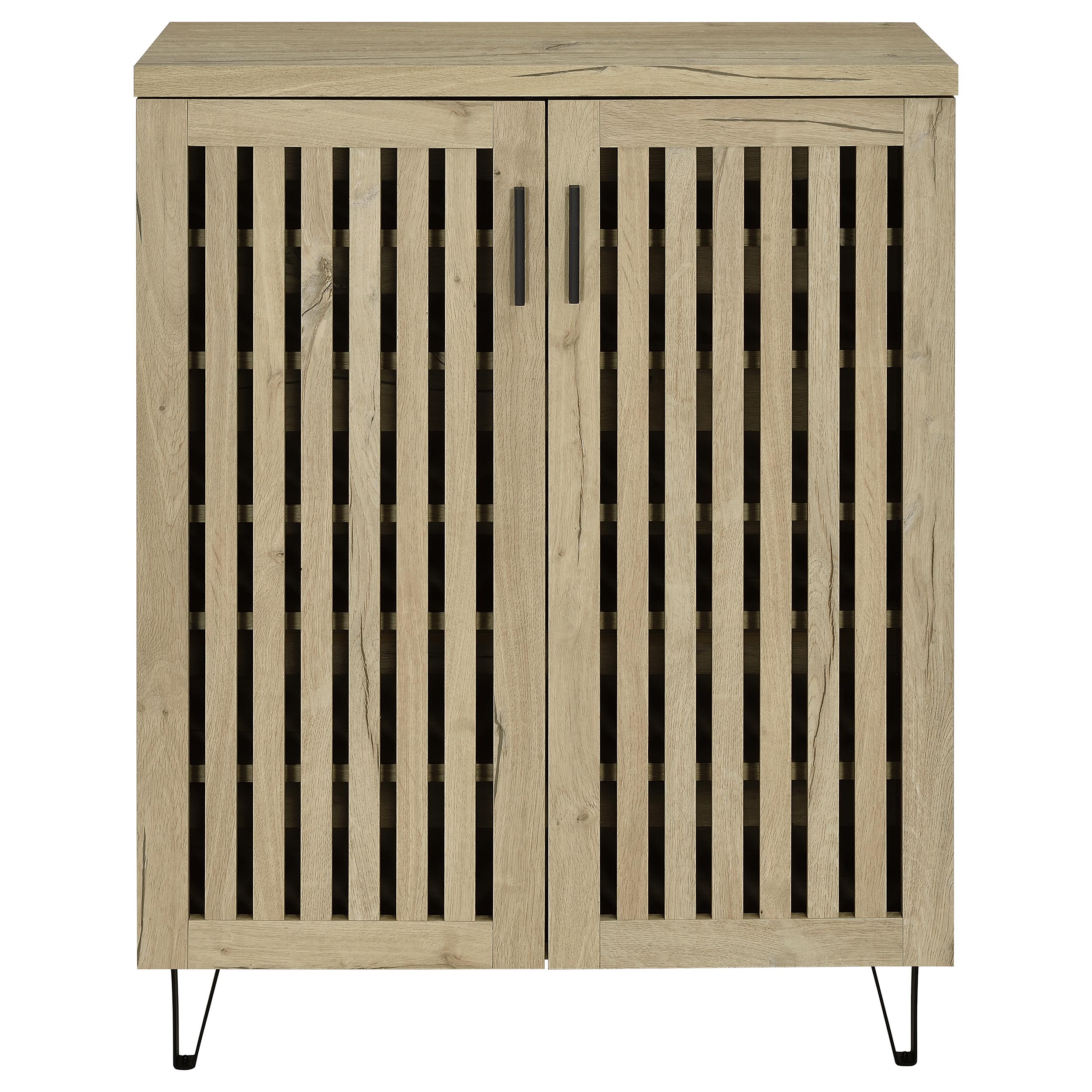 Brixton 2-door Entryway Shoe Storage Cabinets Black