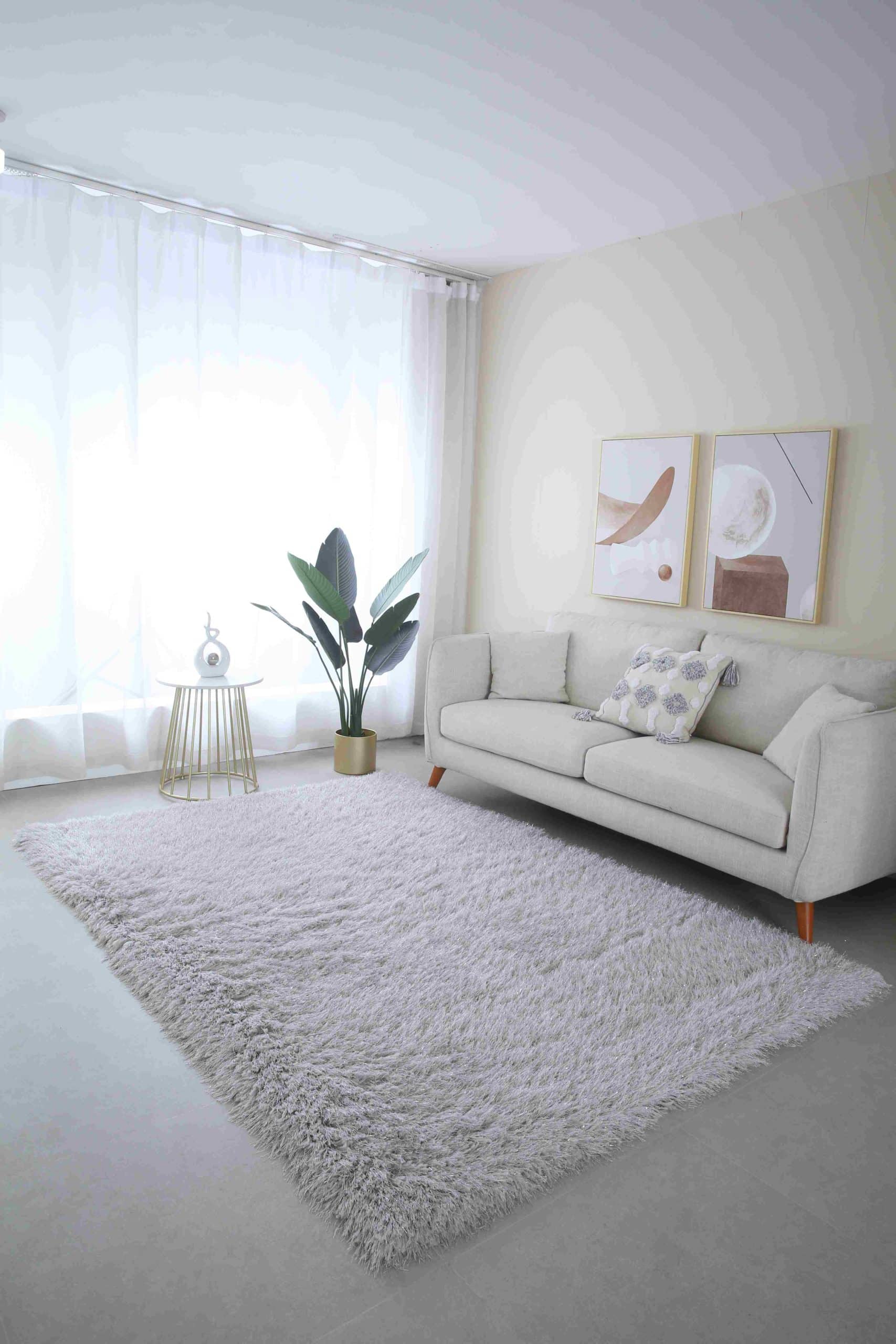 MEILIN-S SHAGGY Rug